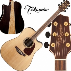 Takamine GD93CE